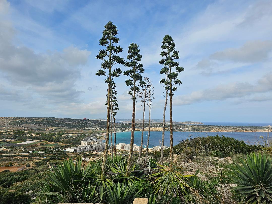 Mellieħa, Malta — Imagery & Healing